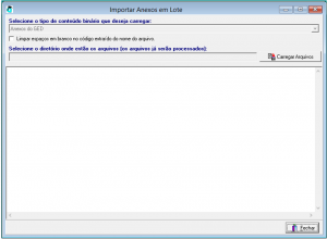 importacao-anexos-em-lote-01