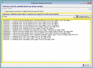 importacao-anexos-em-lote-03